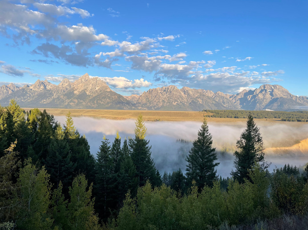 Wild Things of Wyoming-提顿村必去景点