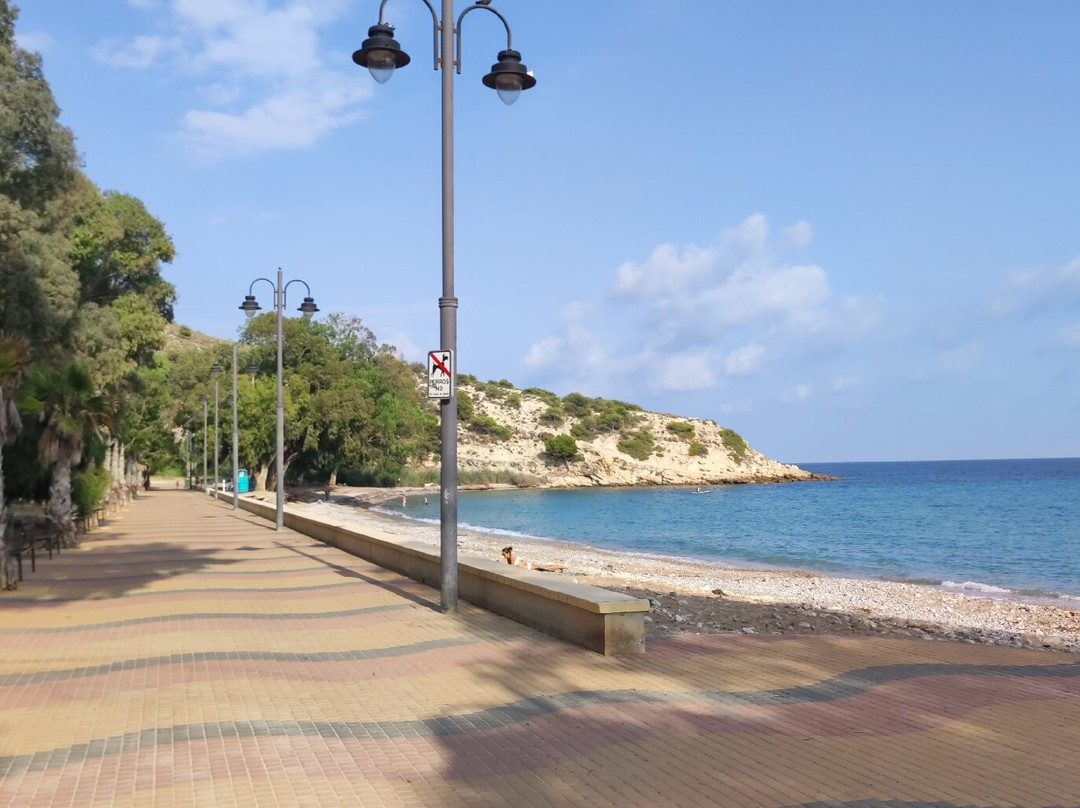 Playa El Torres景点图片