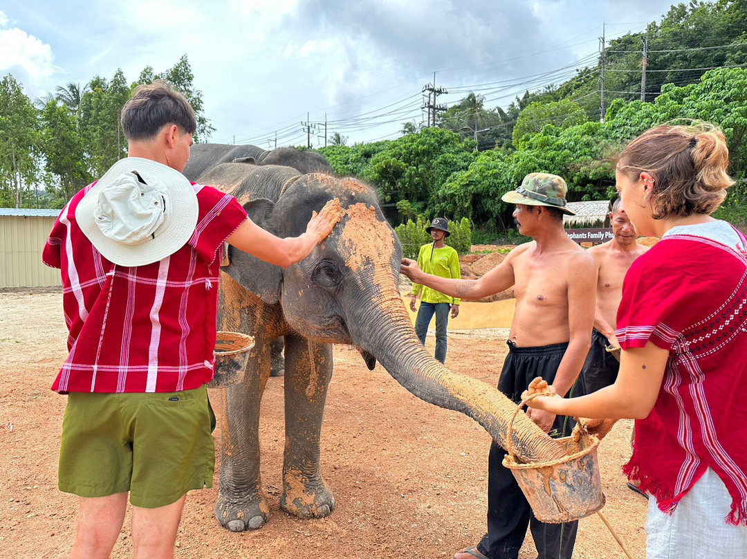 Kerchor Elephant Family Phuket景点图片