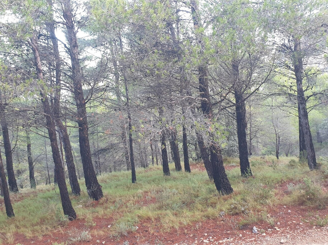 Collado del Polset-Busot必去景点