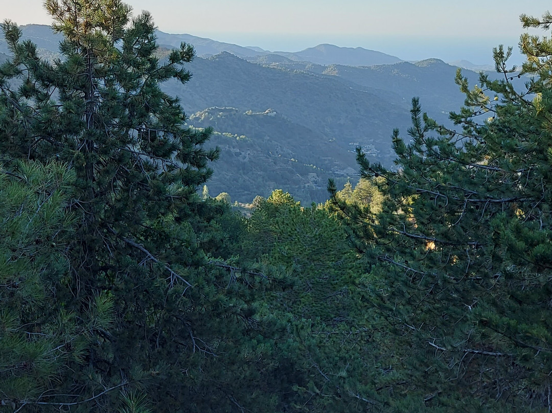 Health Habitat and Slimming Resort主图