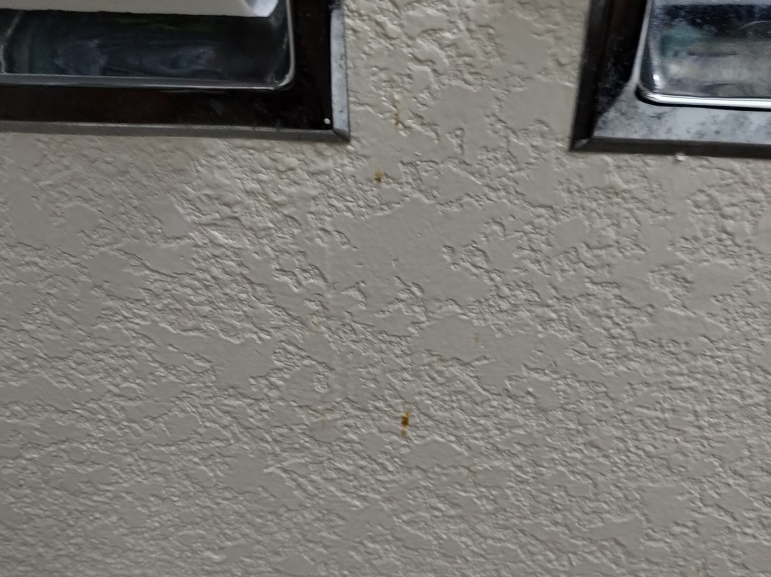 兰巴顿豪生酒店主图