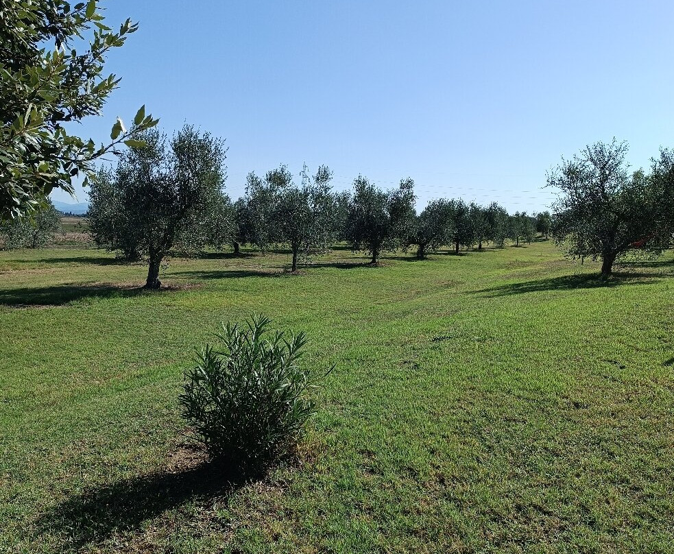 Agriturismo Gli Etruschi主图