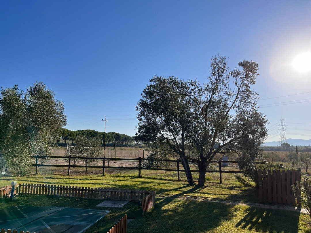 Il Podere di Sole