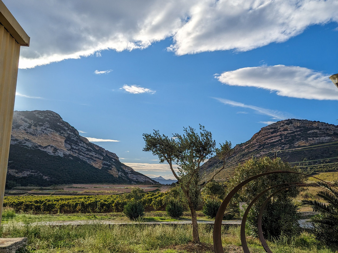 Corsica Wine Tours-Bastia必去景点
