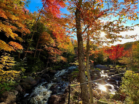 Stone Arch Bridge-Stoddard必去景点