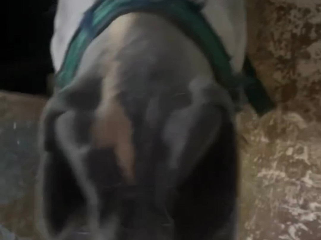 Moonshine Ranch-普它肋斯必去景点