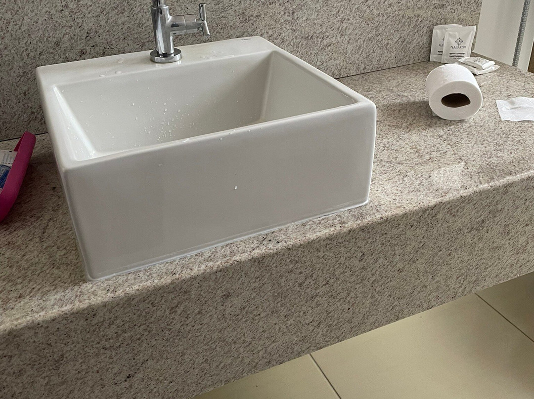 Planaltos Palace Hotel主图