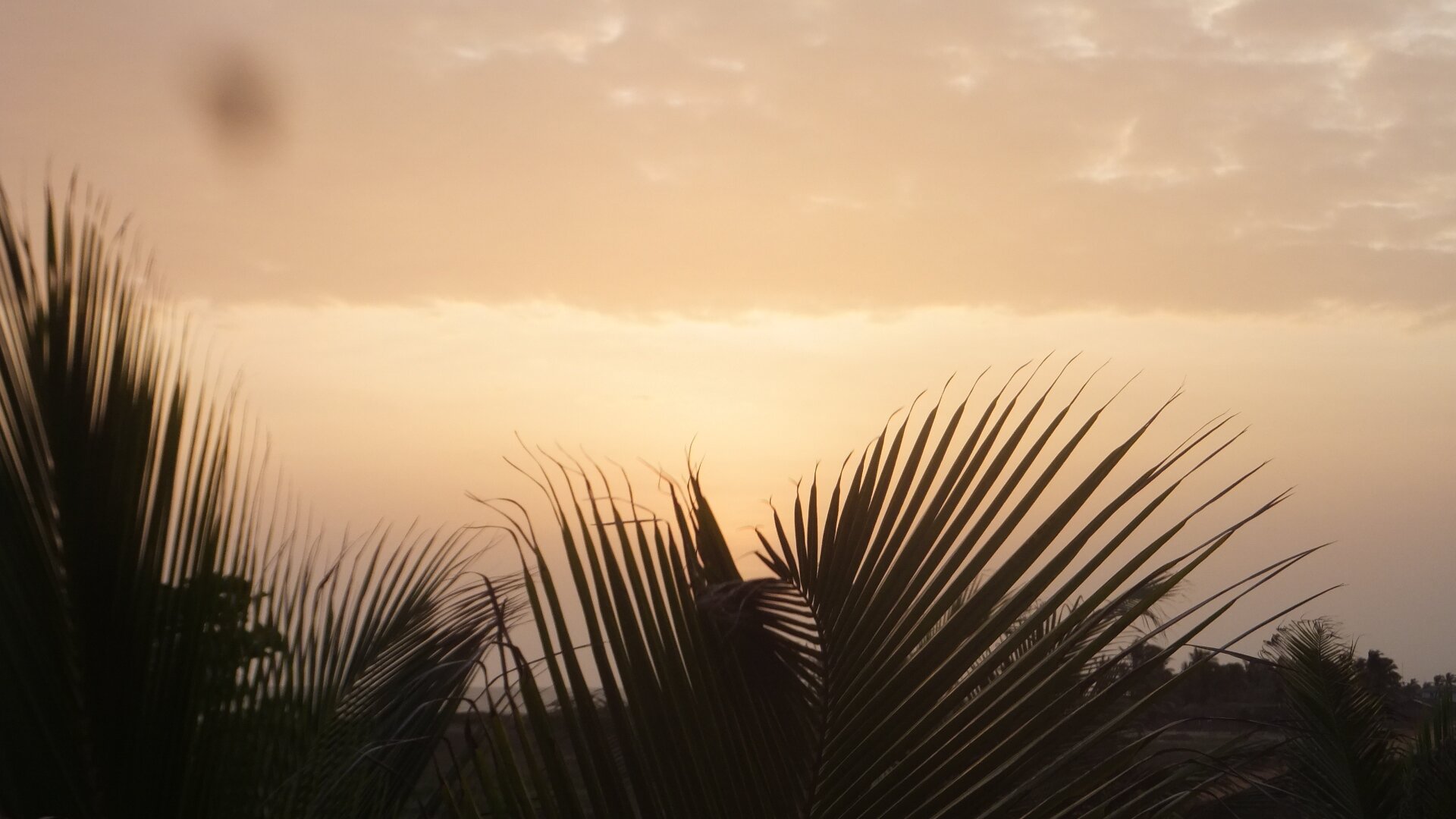 Dreamland Beach Resort-官方