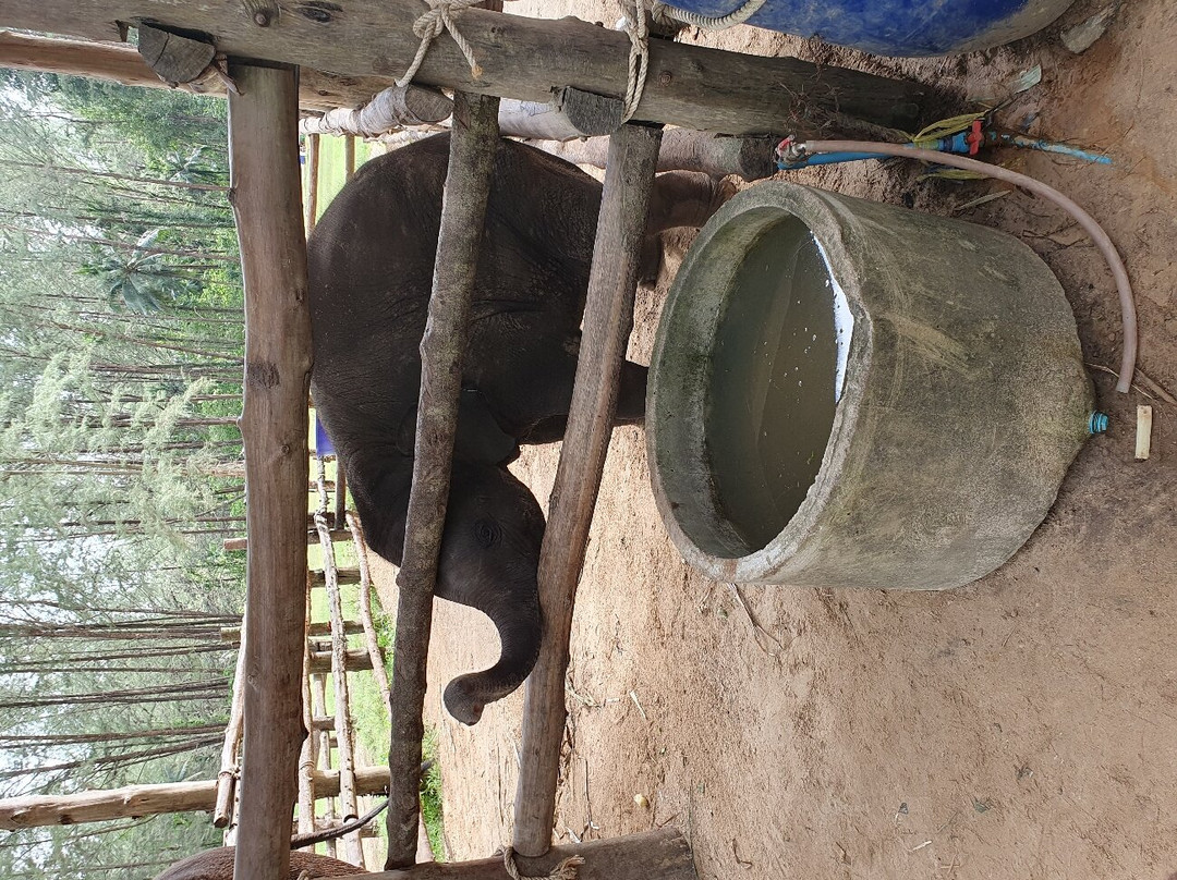Khao Lak Day Trip