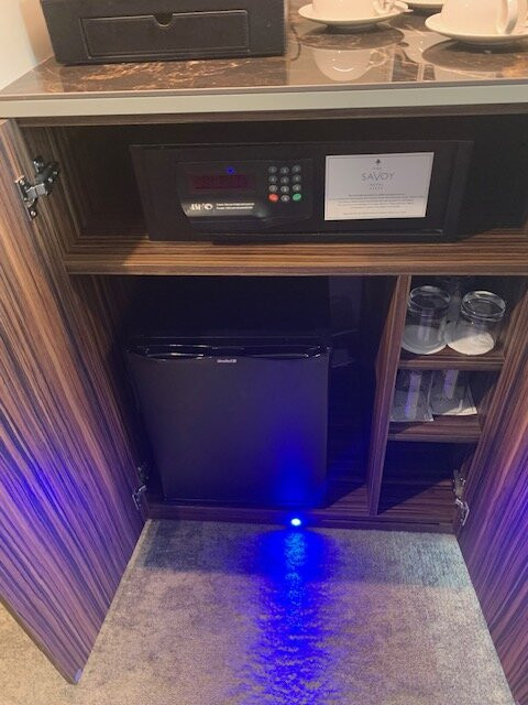 萨弗伊酒店主图