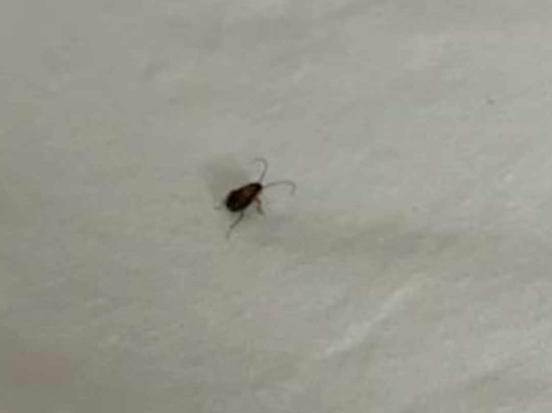 Red Roof Inn Newport News - Yorktown主图