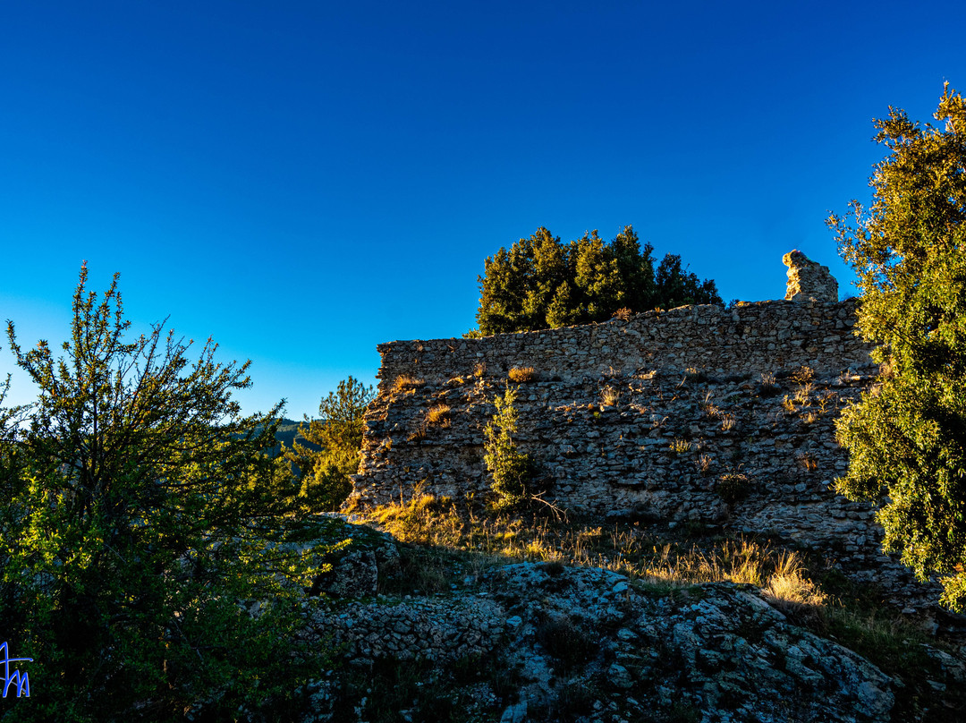 Torre Baiolardo - Il Torrazzo景点图片