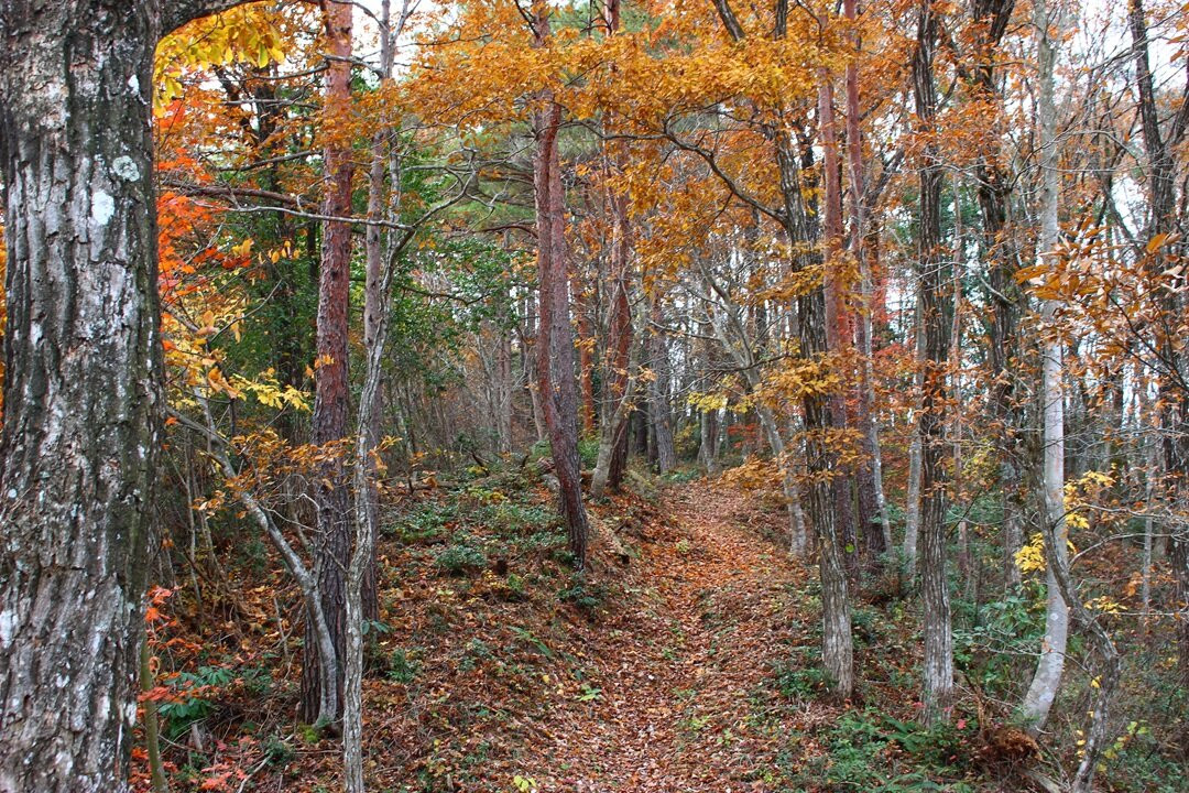 Mt.Misen-邑南町必去景点