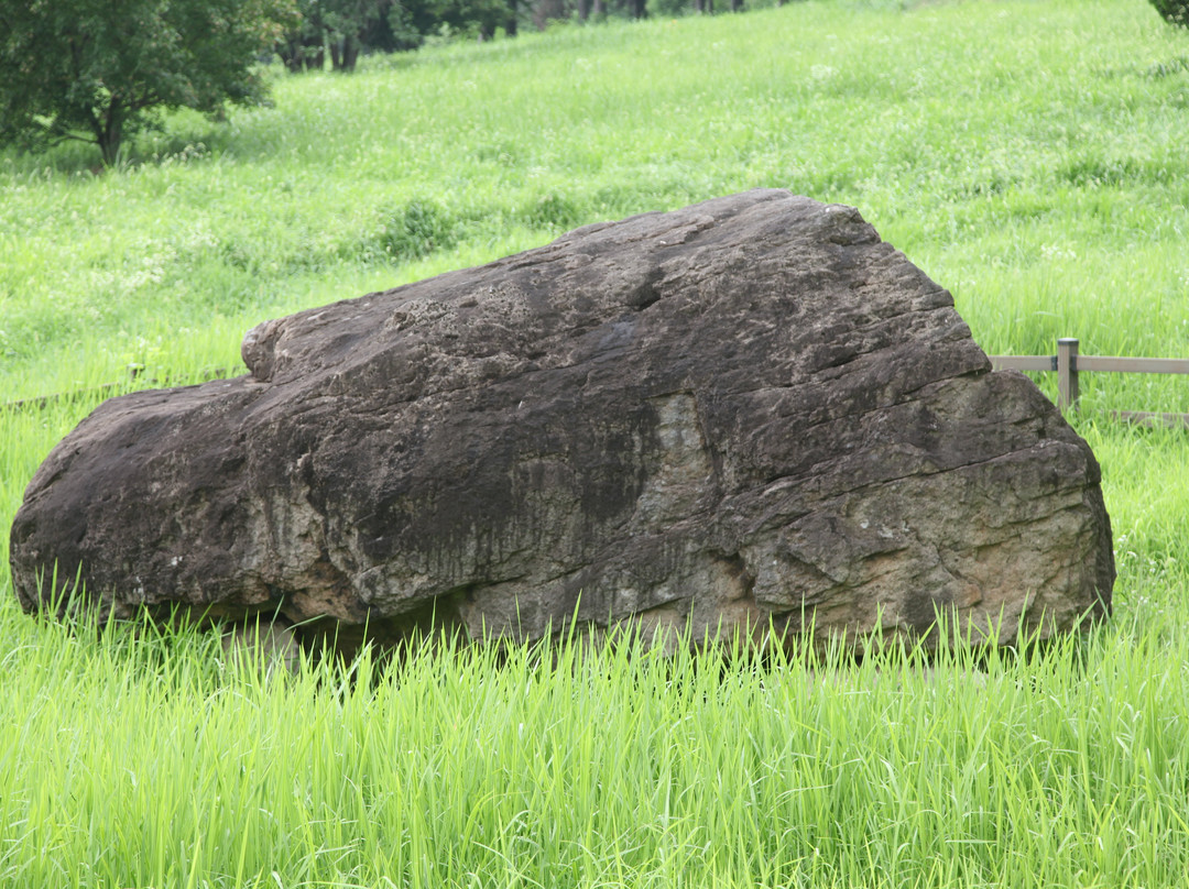 Gochang Dolmen Museum-高敞郡必去景点