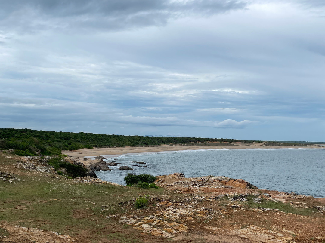 Bundala Wings And Wild Guilde Tours-Hambantota必去景点