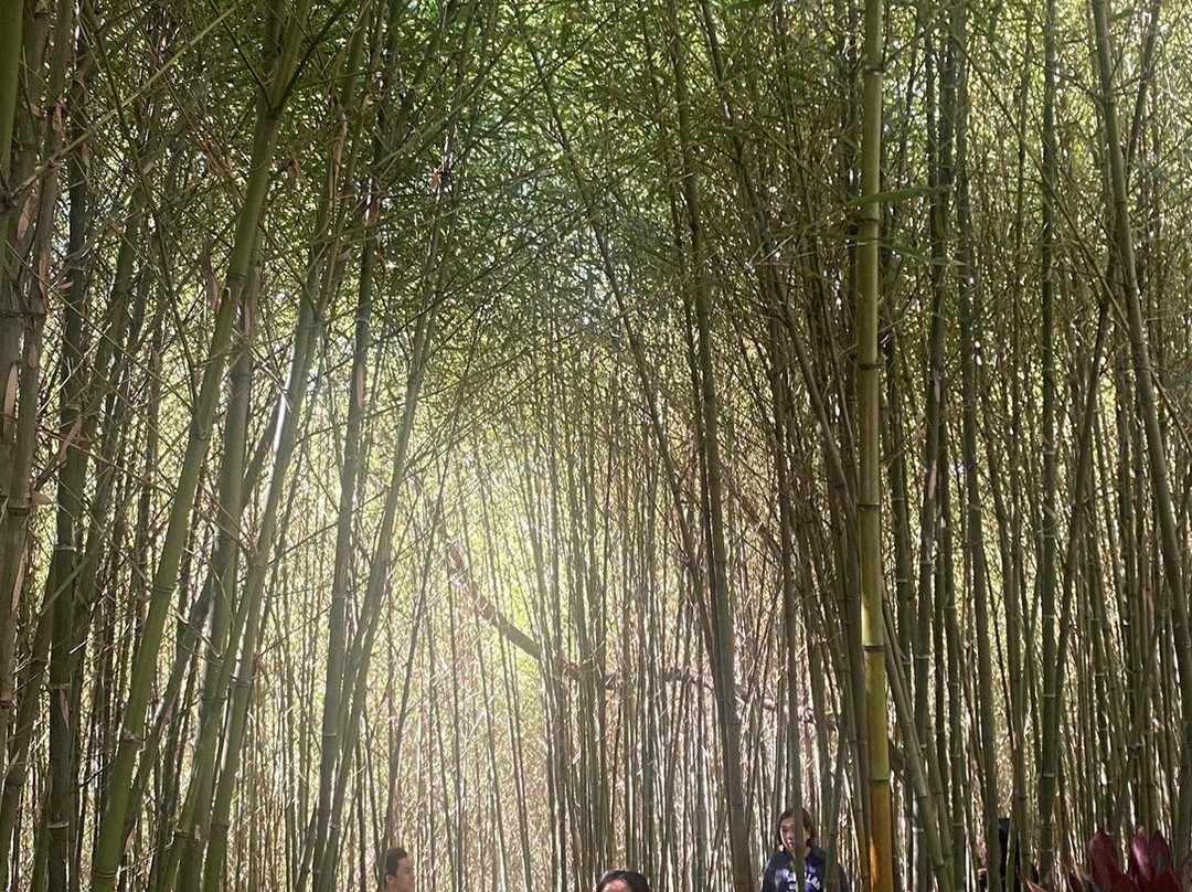 Mirador Heritage And Eco Park