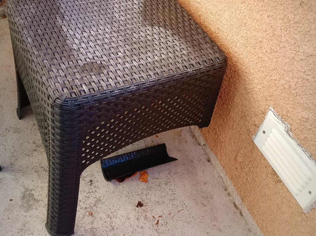 The Forest Villas Hotel主图