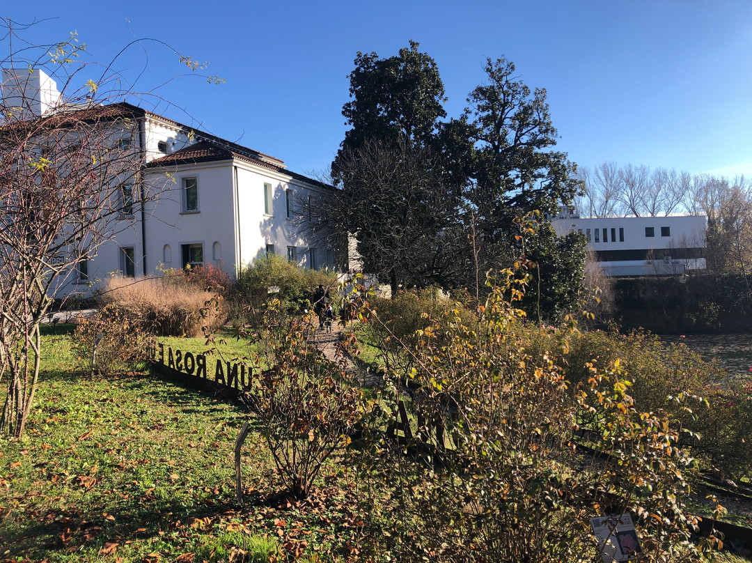 Parco Galvani E Museo Itinerario Della Rosa Antica-波代诺内必去景点