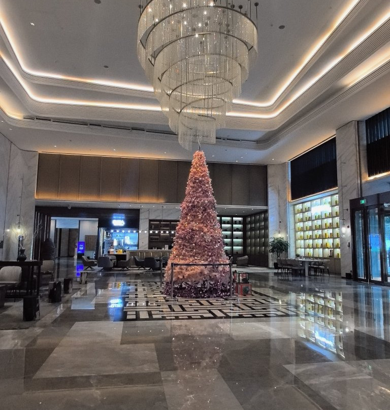 阜阳宝龙温德姆至尊豪廷大酒店主图