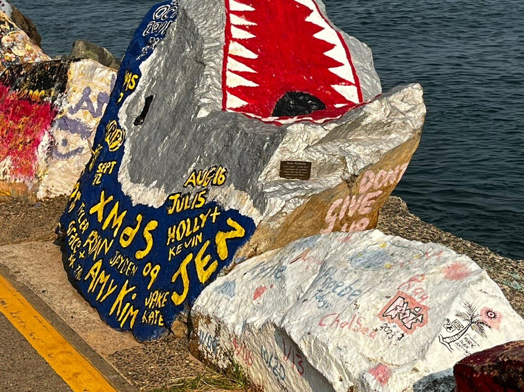 Breakwall Waking Path-麦克夸利港必去景点