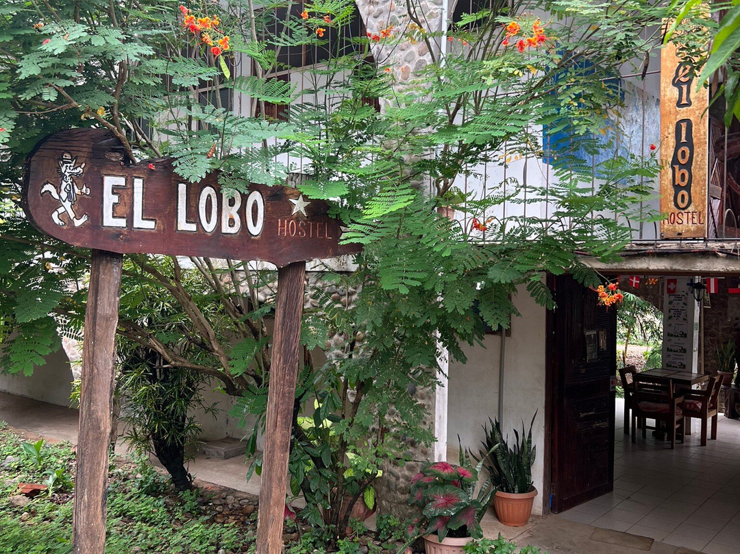 Hostal El Lobo主图