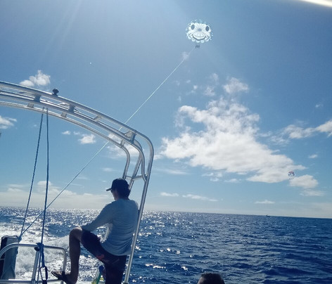 Go Hawaii Watersports