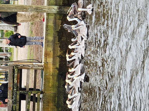 Everglades Florida Adventures-大沼泽地必去景点