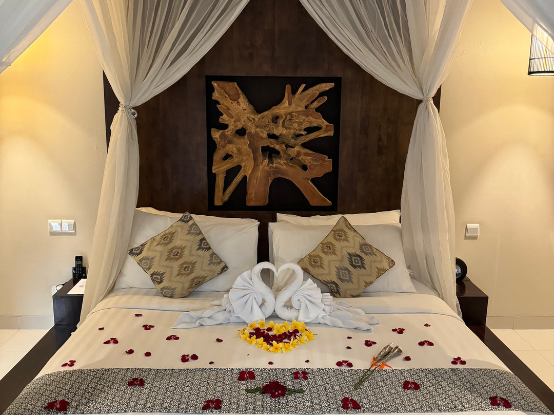 塞纳伊可Spa别墅主图