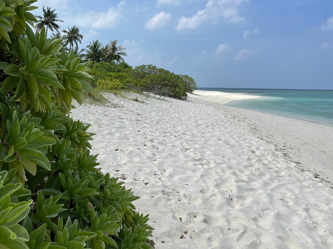 Noohiri Diving & Water Sport Center-费瑞杜必去景点