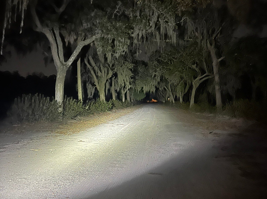 Shannon Scott Tours-萨凡纳必去景点