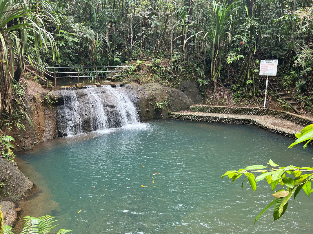 Colo-I-Suva Forest Park-苏瓦必去景点