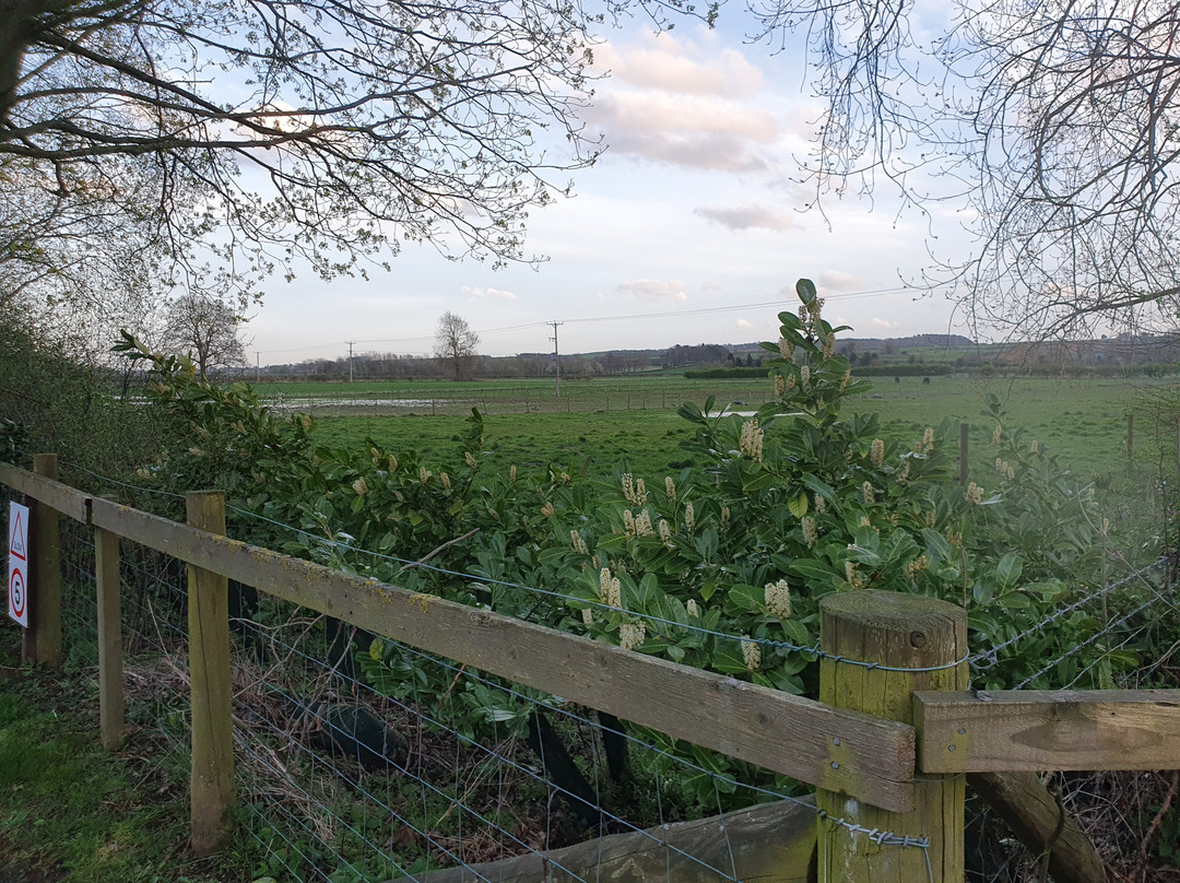 Slingsby Camping And Caravanning Club Site