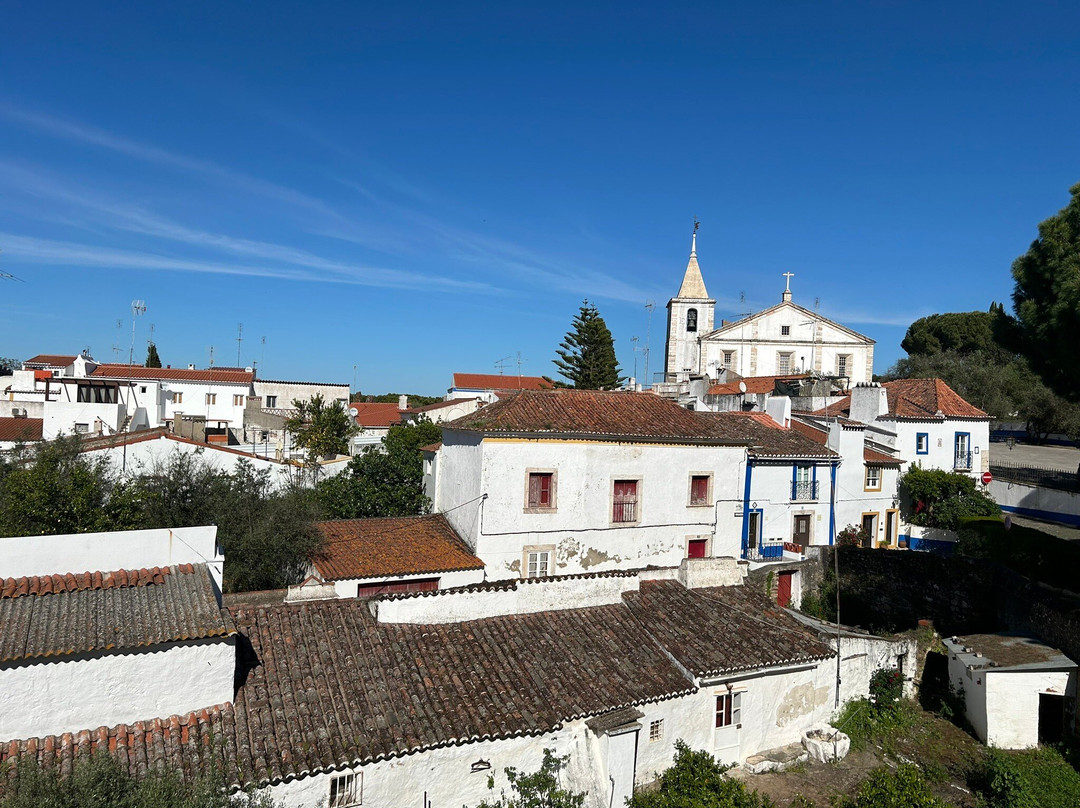 Castle of Vila Viçosa景点图片