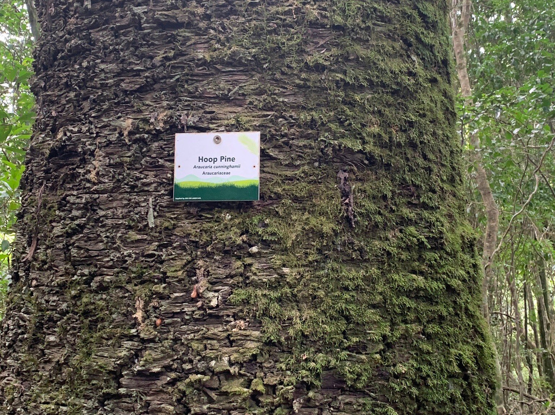 Mount Perry Summit Walk-Mount Perry必去景点