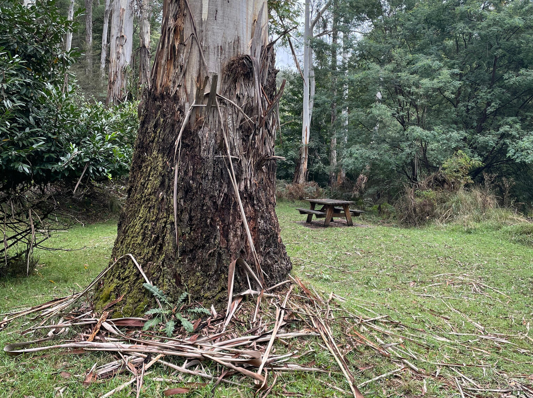 Burnt Bridge Day Visitor Area-Jamieson必去景点