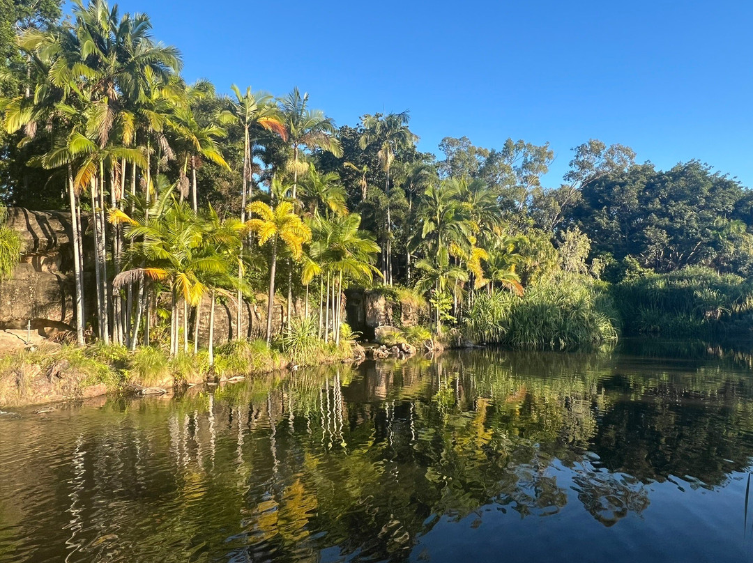Kershaw Gardens-罗克汉普顿必去景点