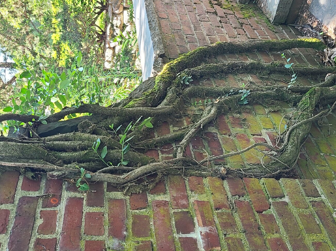 民兵国家历史公园-康科德必去景点