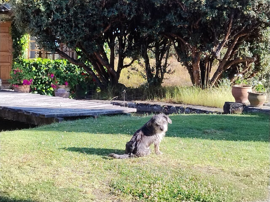 Churup Mountain Lodge主图