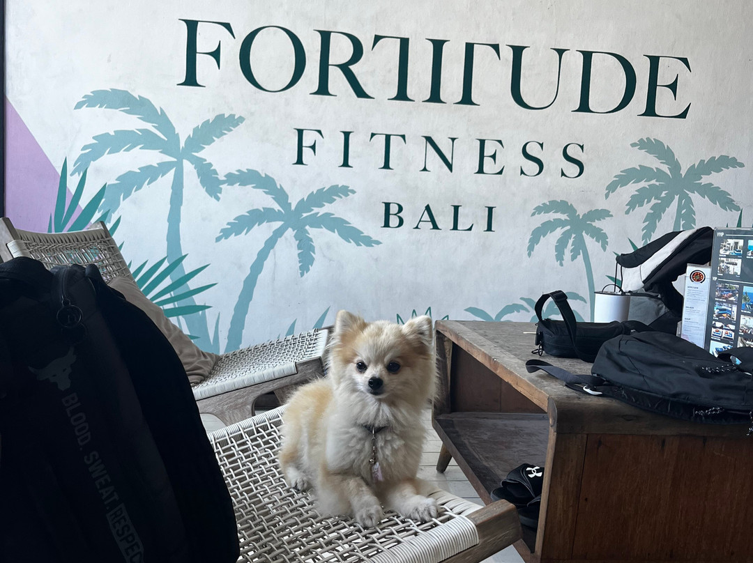 Fortitude Bali景点图片