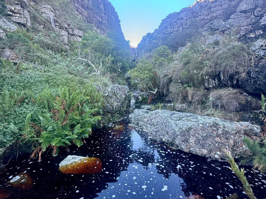 Cape Trekking-桌山国家公园必去景点