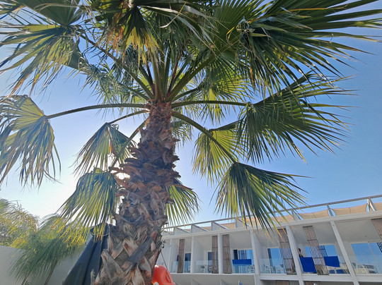 Sensus Experience By Lavris主图