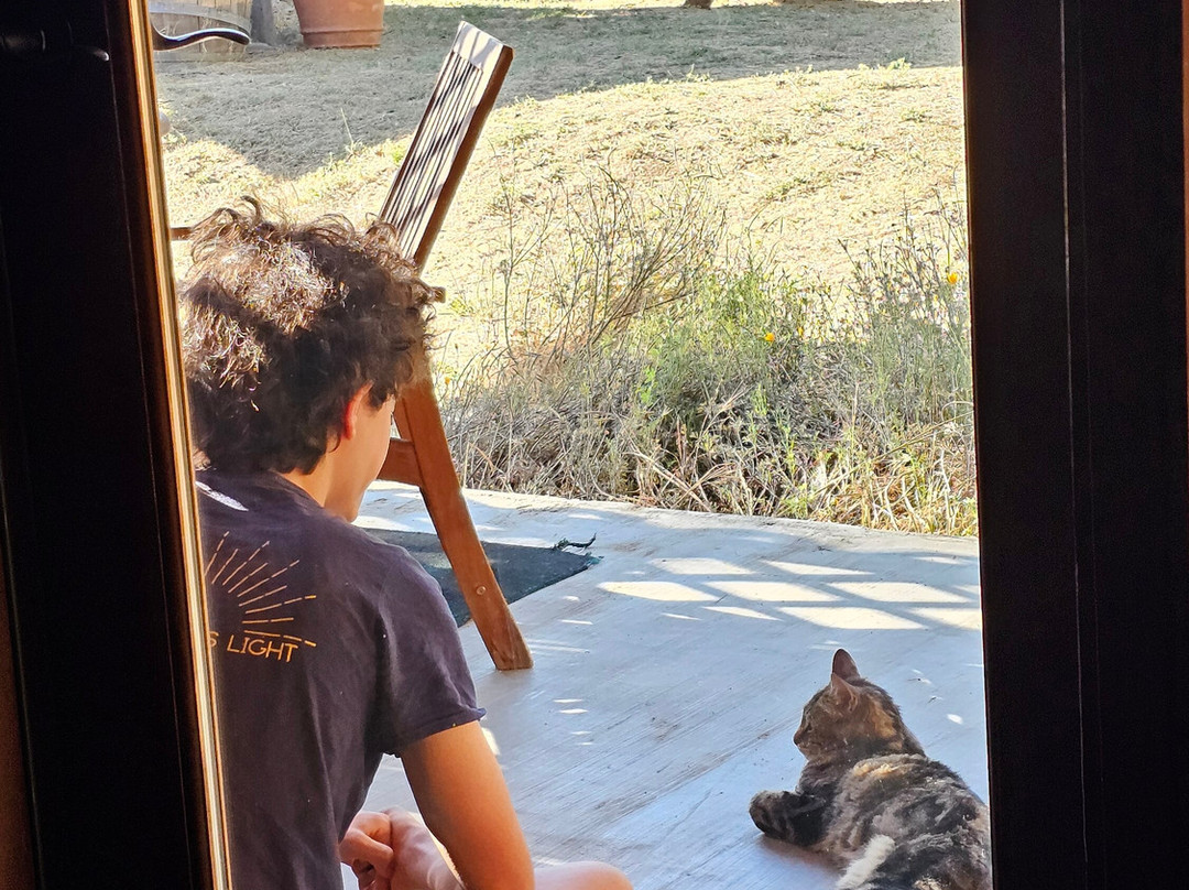 Evergreen Haus主图