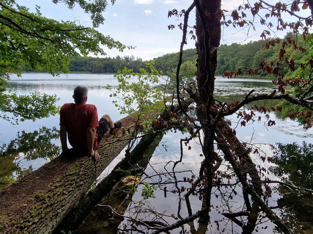 Czajcze Lake -  In Wolin National Park景点图片