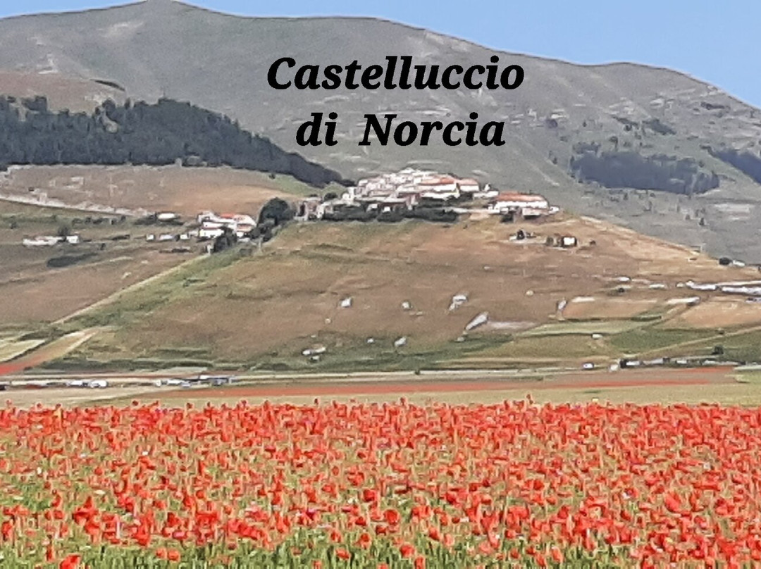 Castelluccio-翁布里亚必去景点