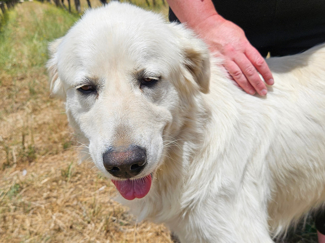 Antiquum Farm-Junction City必去景点