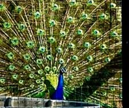 Secret Passage Ranch-Fort Valley必去景点