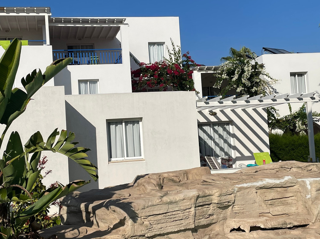 Aliathon Aegean主图