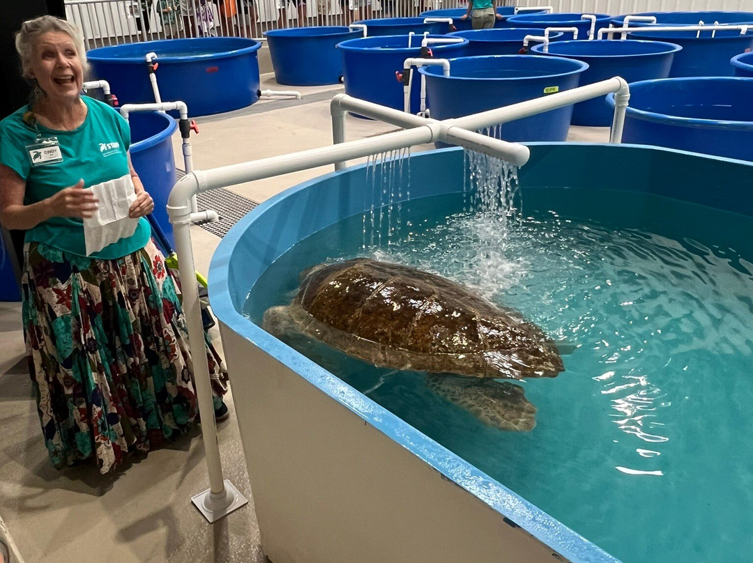 The Karen Beasley Sea Turtle Rescue and Rehabilitation Center景点图片