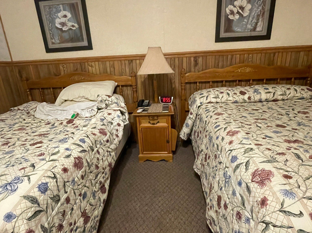 Starlite Motel主图